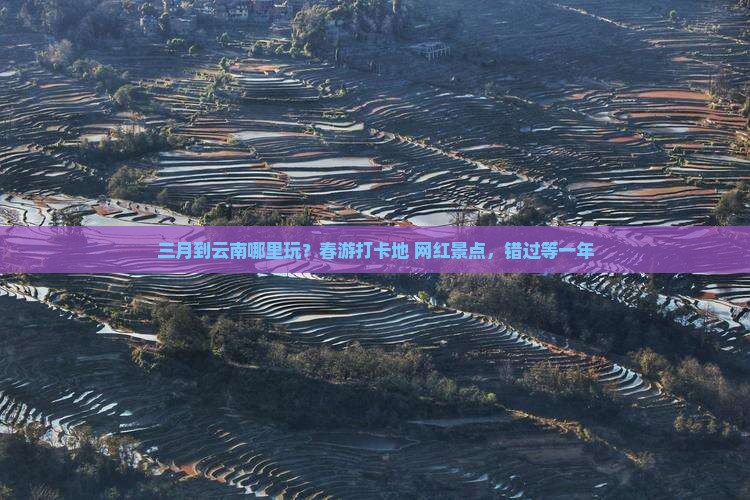 三月到云南哪里玩？春游打卡地+网红景点，错过等一年