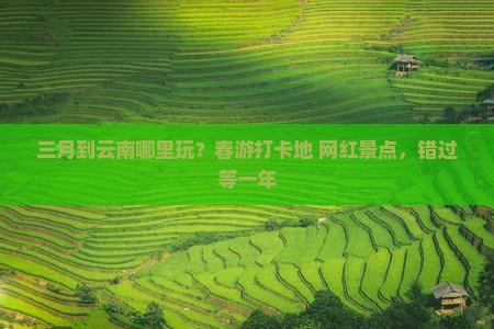 三月到云南哪里玩？春游打卡地+网红景点，错过等一年
