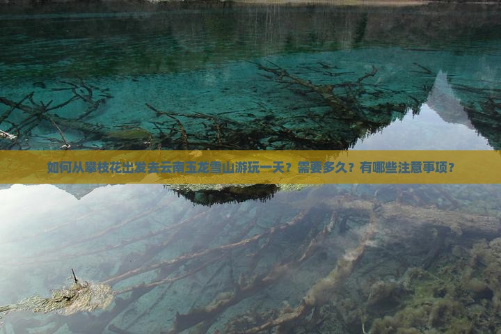 如何从攀枝花出发去云南玉龙雪山游玩一天？需要多久？有哪些注意事项？