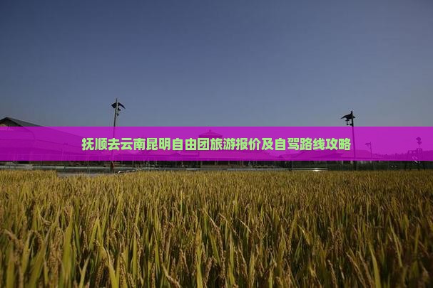 抚顺去云南昆明自由团旅游报价及自驾路线攻略