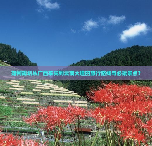 如何规划从广西来宾到云南大理的旅行路线与必玩景点？