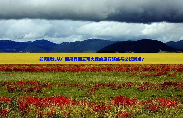 如何规划从广西来宾到云南大理的旅行路线与必玩景点？