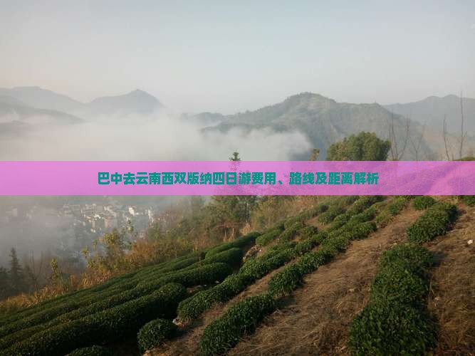 巴中去云南西双版纳四日游费用、路线及距离解析