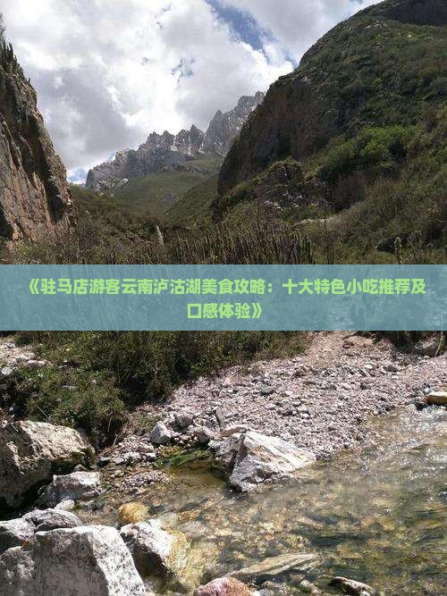 《驻马店游客云南泸沽湖美食攻略：十大特色小吃推荐及口感体验》