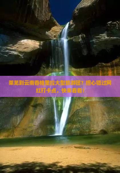 莱芜到云南香格里拉大型旅游团？担心错过网红打卡点，快来看看！