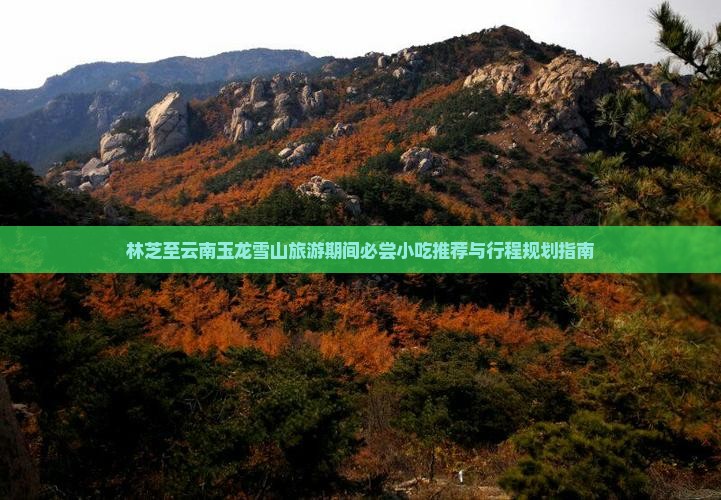 林芝至云南玉龙雪山旅游期间必尝小吃推荐与行程规划指南