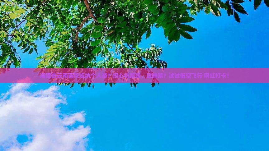 湘潭去云南西双版纳个人游？担心机票贵、攻略繁？试试低空飞行+网红打卡！