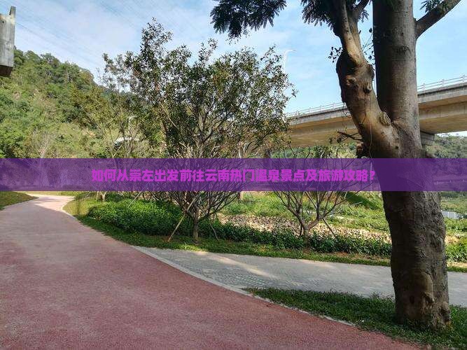 如何从崇左出发前往云南热门温泉景点及旅游攻略？