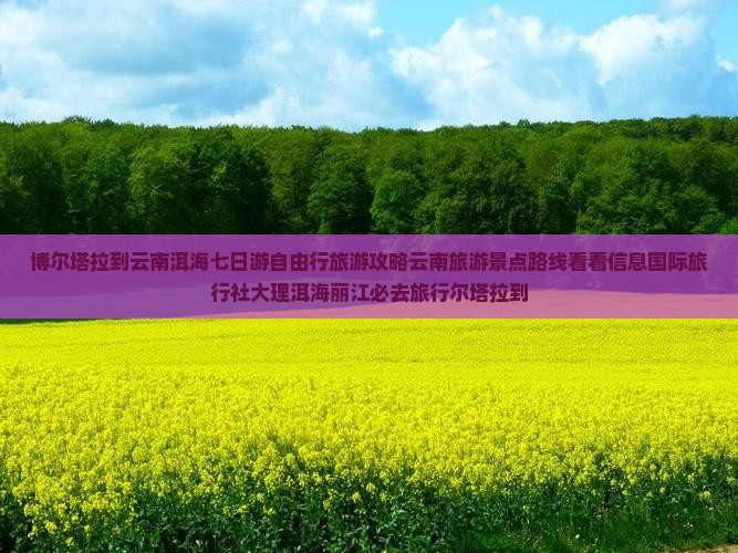 博尔塔拉到云南洱海七日游自由行旅游攻略云南旅游景点路线看看信息国际旅行社大理洱海丽江必去旅行尔塔拉到
