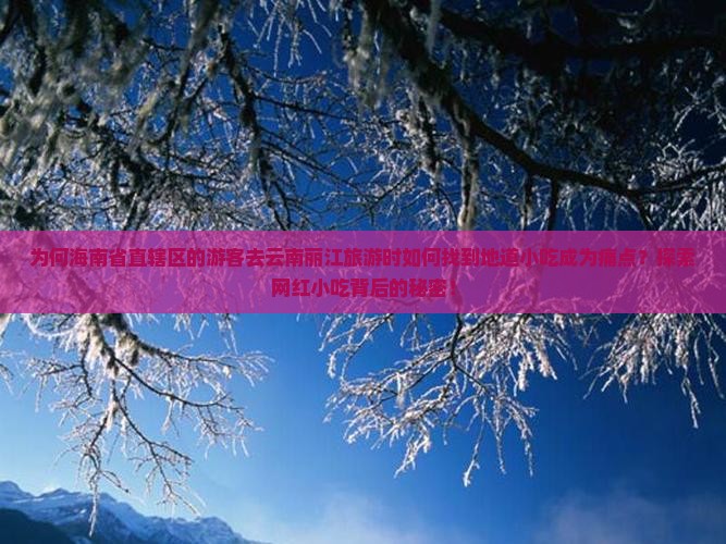 为何海南省直辖区的游客去云南丽江旅游时如何找到地道小吃成为痛点？探索网红小吃背后的秘密！