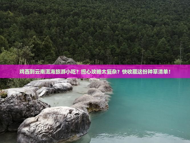 鸡西到云南洱海旅游小吃？担心攻略太复杂？快收藏这份种草清单！
