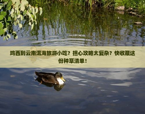 鸡西到云南洱海旅游小吃？担心攻略太复杂？快收藏这份种草清单！