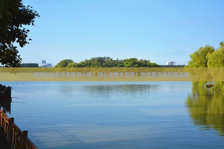 鸡西到云南洱海旅游小吃？担心攻略太复杂？快收藏这份种草清单！