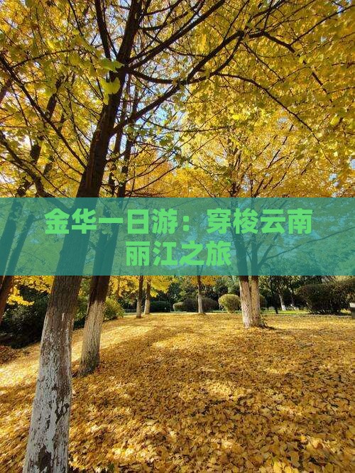 金华一日游：穿梭云南丽江之旅