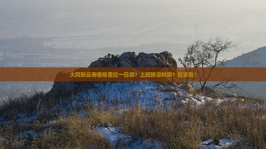 大同到云南香格里拉一日游？上班族没时间？赶紧看！