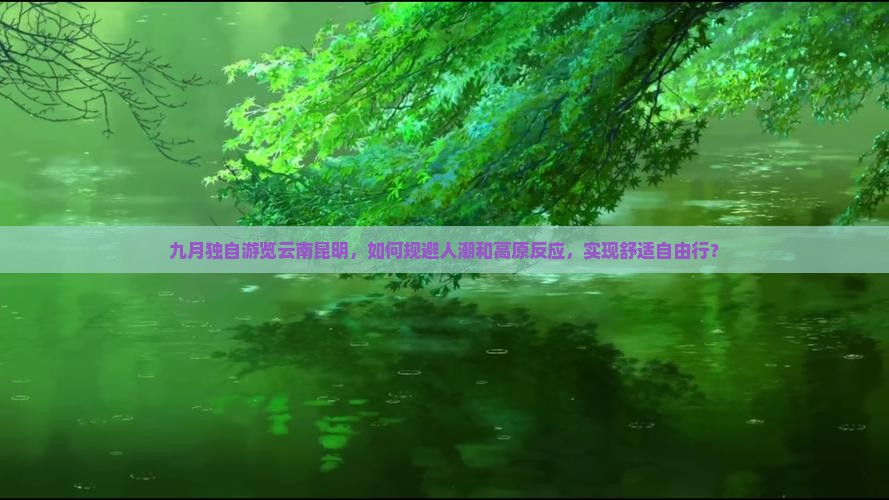 九月独自游览云南昆明，如何规避人潮和高原反应，实现舒适自由行？