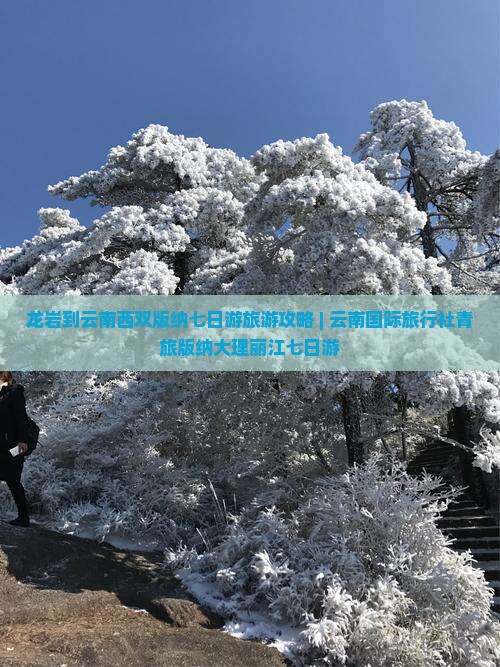 龙岩到云南西双版纳七日游旅游攻略 | 云南国际旅行社青旅版纳大理丽江七日游