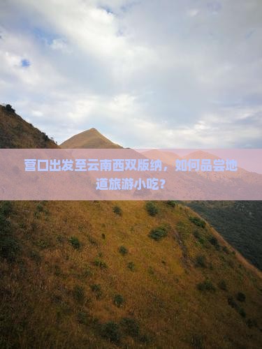 营口出发至云南西双版纳，如何品尝地道旅游小吃？