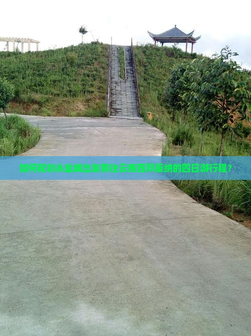 如何规划从盐城出发前往云南西双版纳的四日游行程？