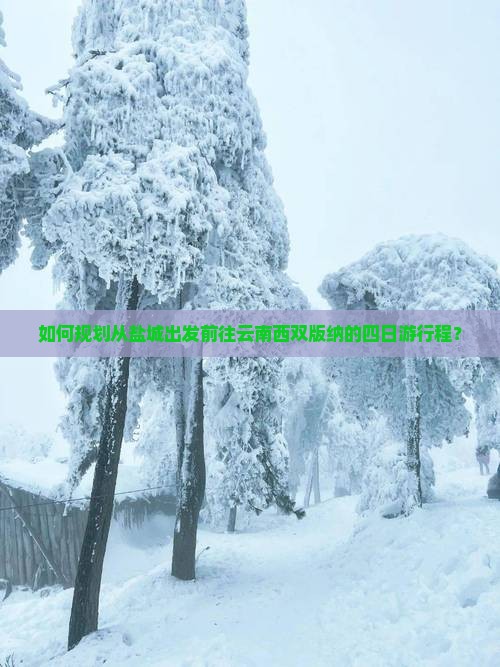 如何规划从盐城出发前往云南西双版纳的四日游行程？