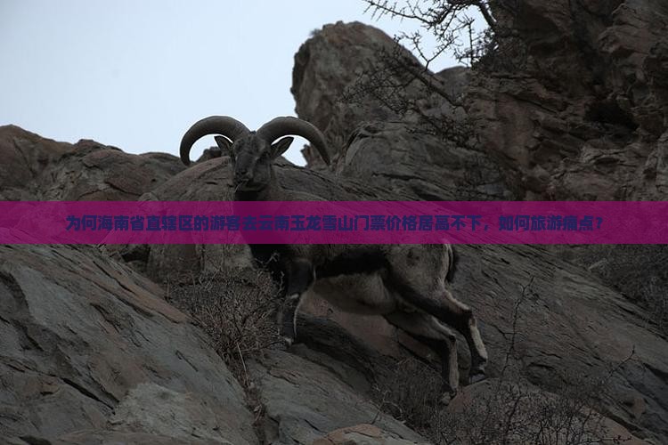 为何海南省直辖区的游客去云南玉龙雪山门票价格居高不下，如何旅游痛点？