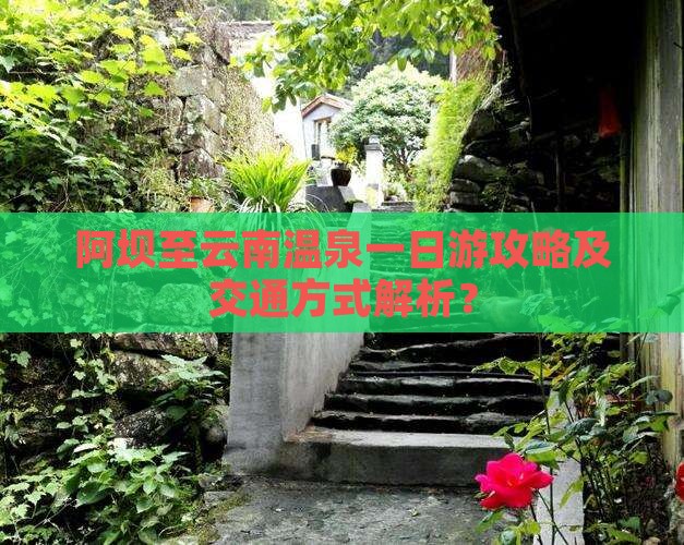 阿坝至云南温泉一日游攻略及交通方式解析？