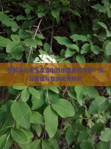 邯郸去云南玉龙雪山自由团费用攻略：预算明细与旅游花费解析