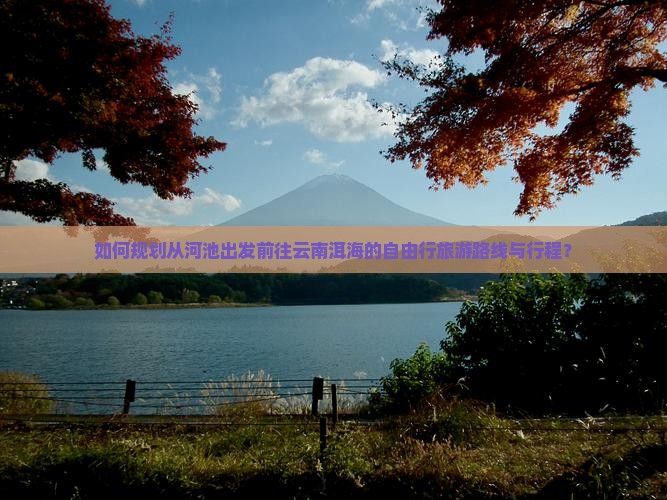 如何规划从河池出发前往云南洱海的自由行旅游路线与行程？