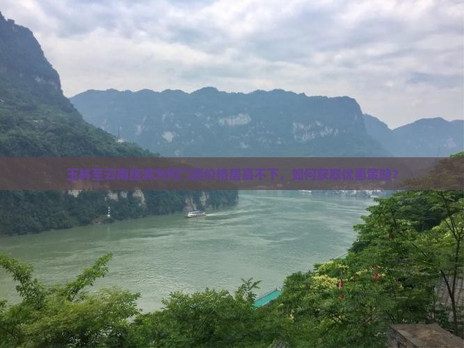 玉林至云南旅游为何门票价格居高不下，如何获取优惠策略？