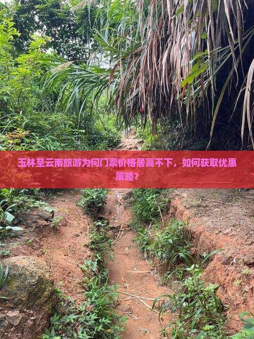 玉林至云南旅游为何门票价格居高不下，如何获取优惠策略？
