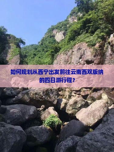 如何规划从西宁出发前往云南西双版纳的四日游行程？