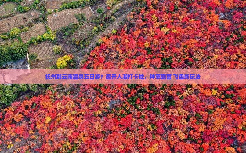 抚州到云南温泉五日游？避开人潮打卡地，种草露营+飞盘新玩法