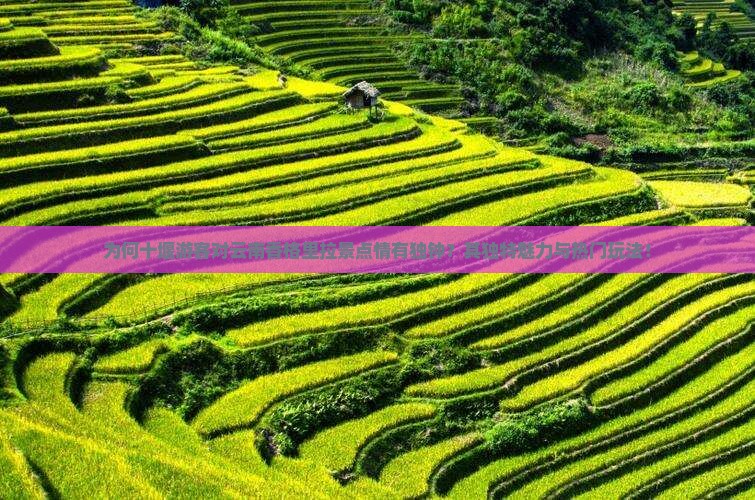 为何十堰游客对云南香格里拉景点情有独钟？其独特魅力与热门玩法！
