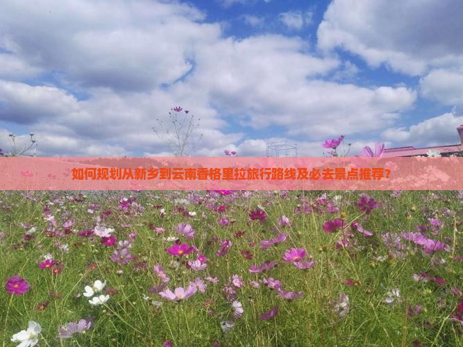 如何规划从新乡到云南香格里拉旅行路线及必去景点推荐？