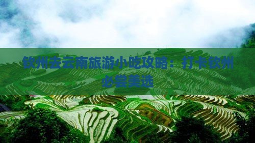 钦州去云南旅游小吃攻略：打卡钦州必尝美选