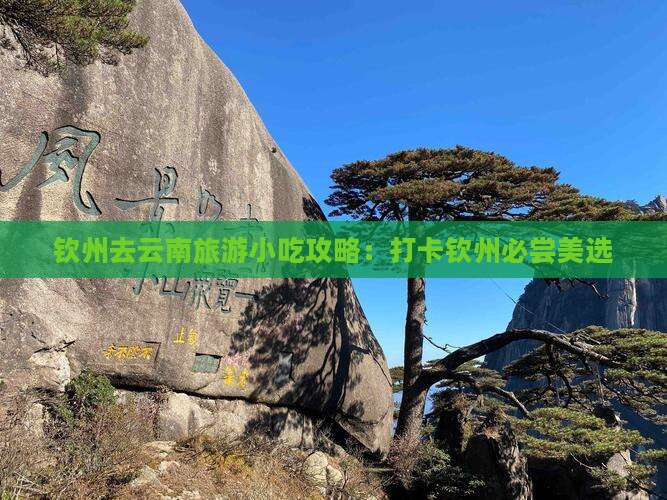 钦州去云南旅游小吃攻略：打卡钦州必尝美选