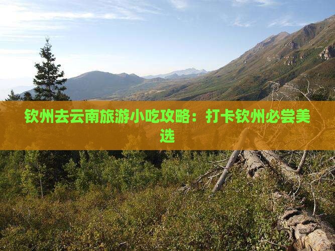 钦州去云南旅游小吃攻略：打卡钦州必尝美选