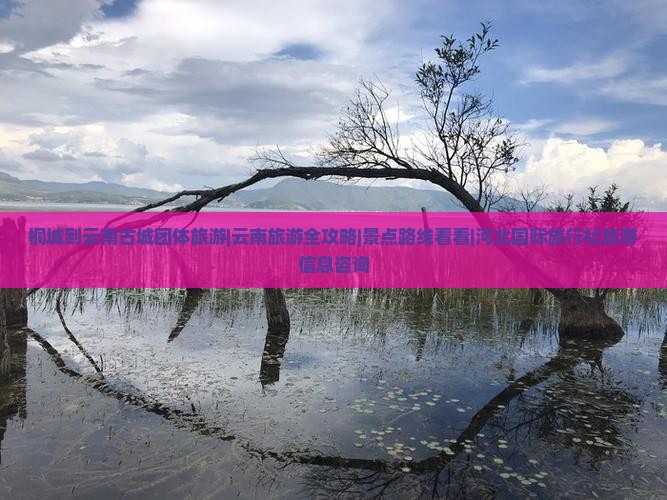 桐城到云南古城团体旅游|云南旅游全攻略|景点路线看看|河北国际旅行社旅游信息咨询