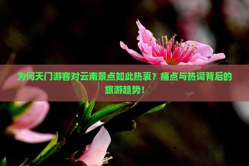 为何天门游客对云南景点如此热衷？痛点与热词背后的旅游趋势！