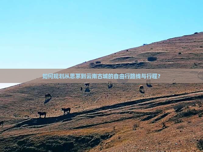 如何规划从思茅到云南古城的自由行路线与行程？
