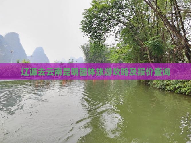 辽源去云南昆明团体旅游攻略及报价查询