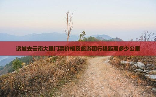诸城去云南大理门票价格及旅游团行程距离多少公里