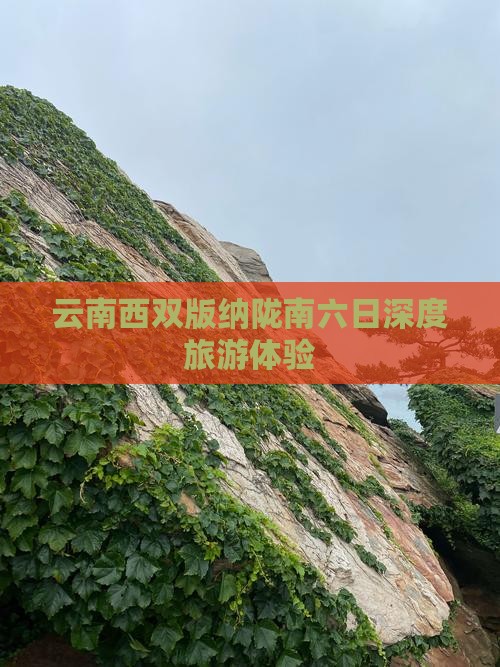 云南西双版纳陇南六日深度旅游体验