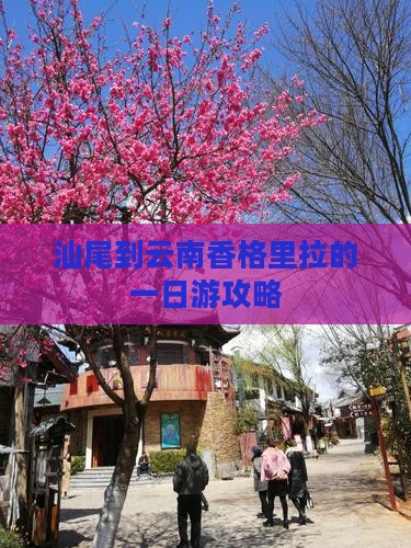 汕尾到云南香格里拉的一日游攻略