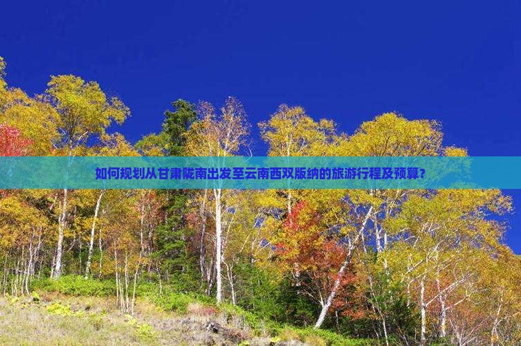 如何规划从甘肃陇南出发至云南西双版纳的旅游行程及预算？