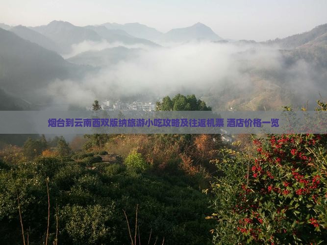 烟台到云南西双版纳旅游小吃攻略及往返机票+酒店价格一览