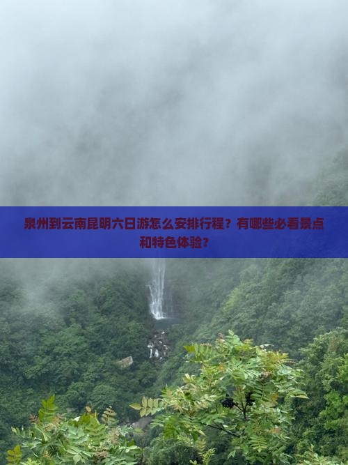 泉州到云南昆明六日游怎么安排行程？有哪些必看景点和特色体验？