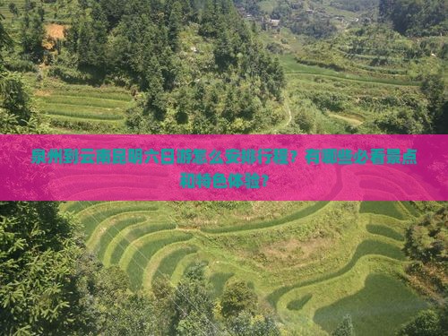 泉州到云南昆明六日游怎么安排行程？有哪些必看景点和特色体验？
