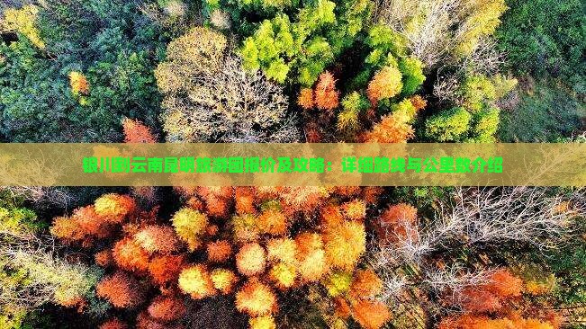 银川到云南昆明旅游团报价及攻略：详细路线与公里数介绍