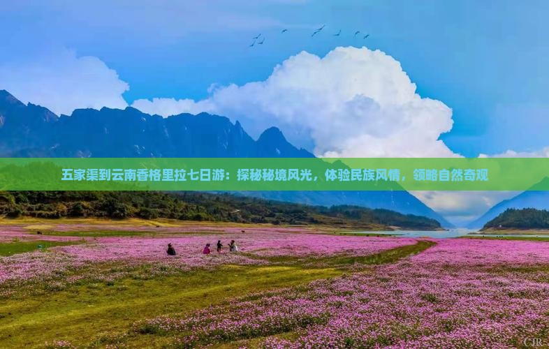 五家渠到云南香格里拉七日游：探秘秘境风光，体验民族风情，领略自然奇观
